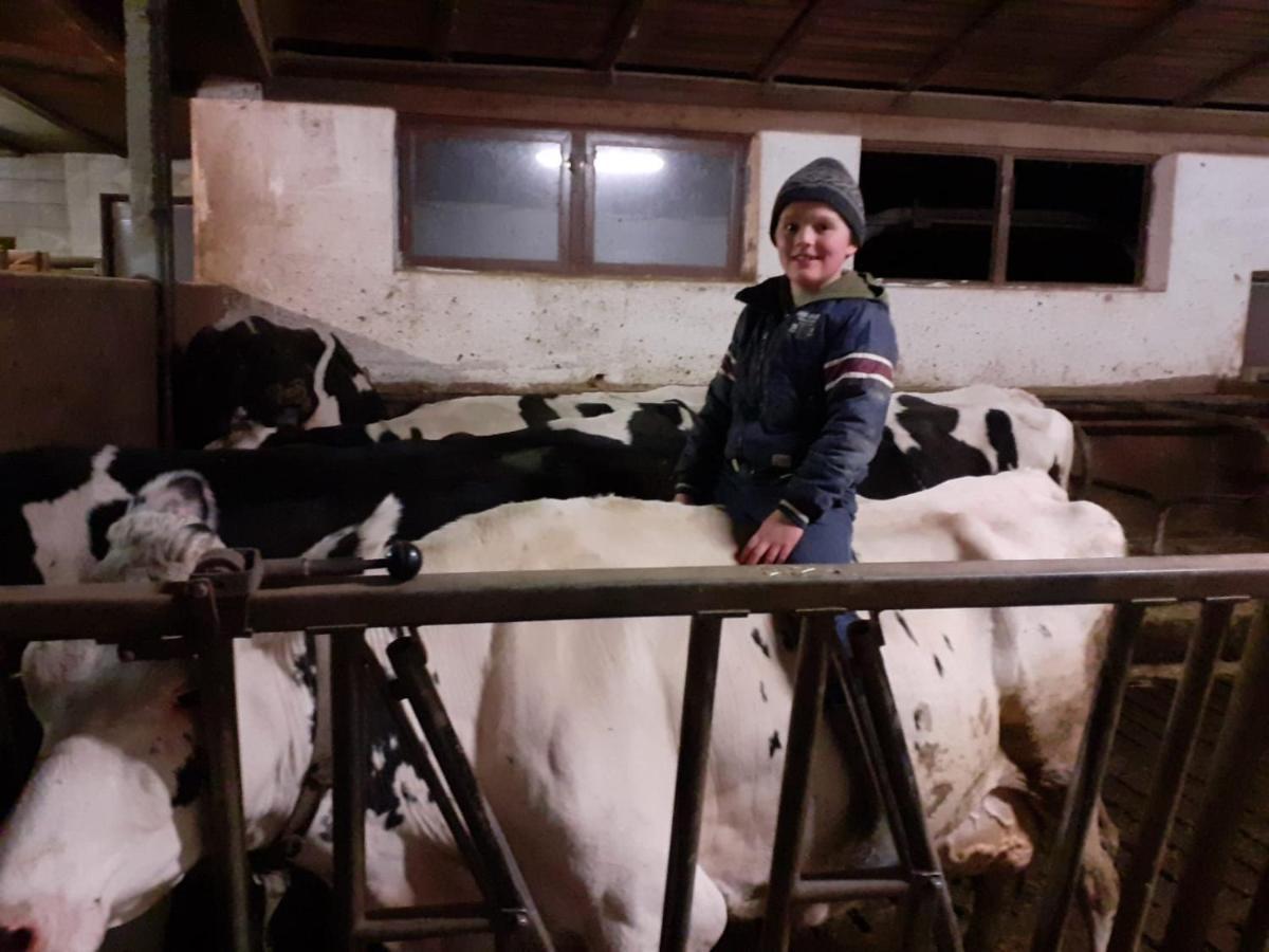 וילאנדרו Schweiggerhof -Agriturismo- Farm Holidays מראה חיצוני תמונה